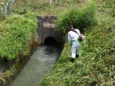 水路の草刈り