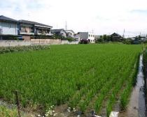 市街地の受益農地